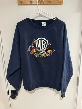 Warner Bros. Navy Crewneck Sweatshirt with Character Crest